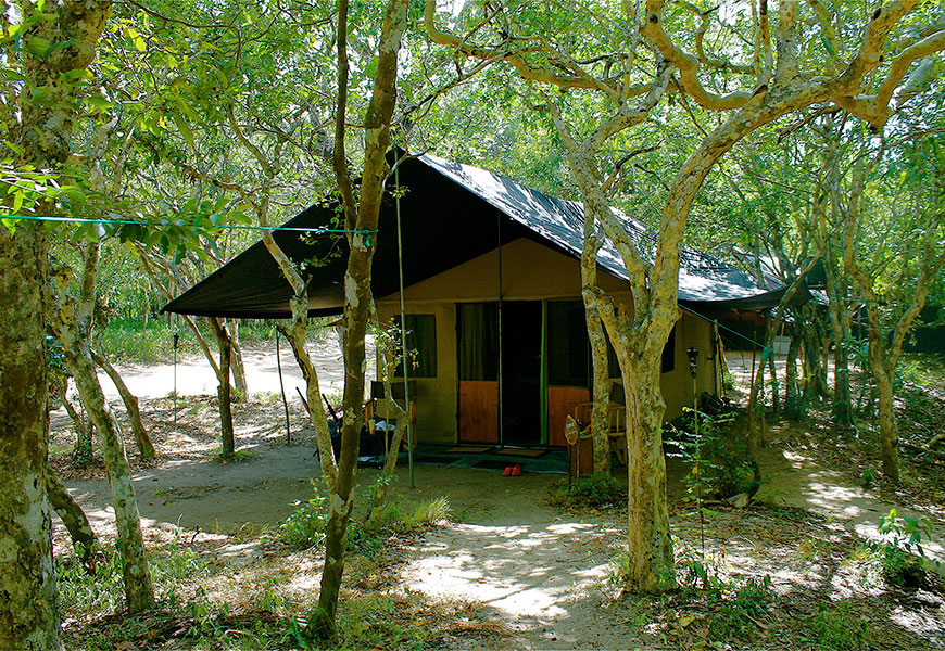 camping-at-willpathu