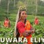 nwuaraeliya