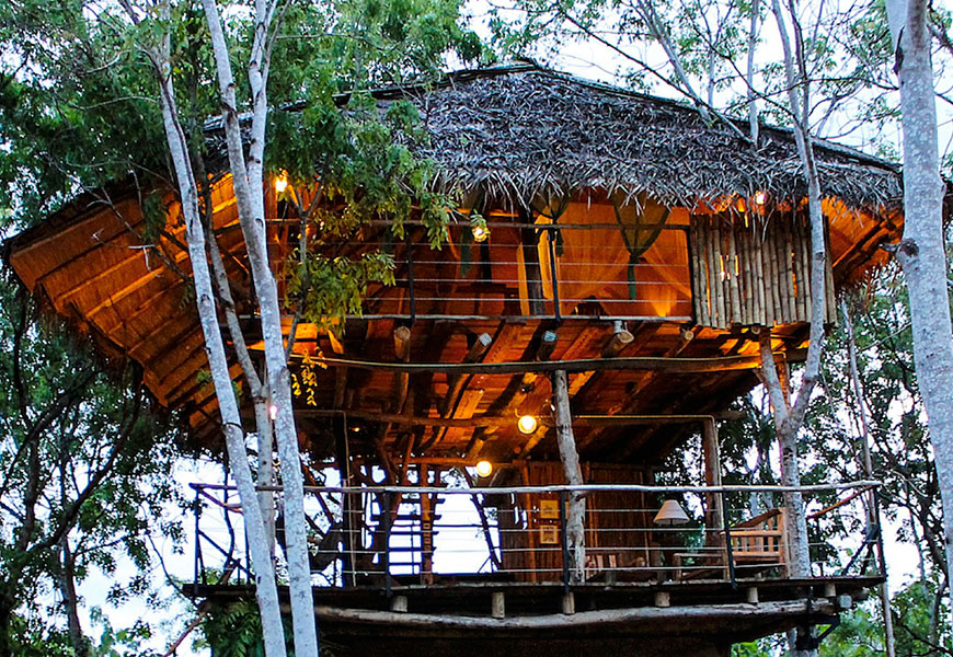 treehousing